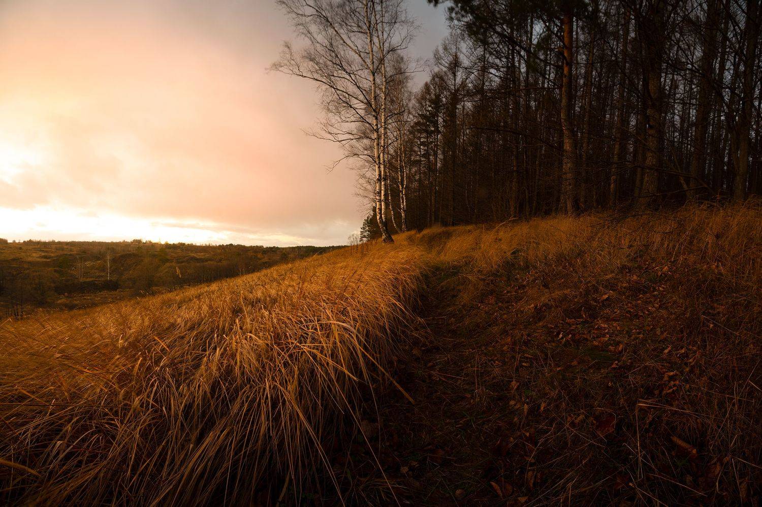 , Стрельцов Виталий