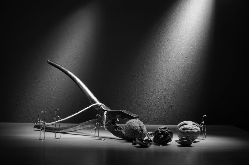 жизнь скреп За орехами фото превью