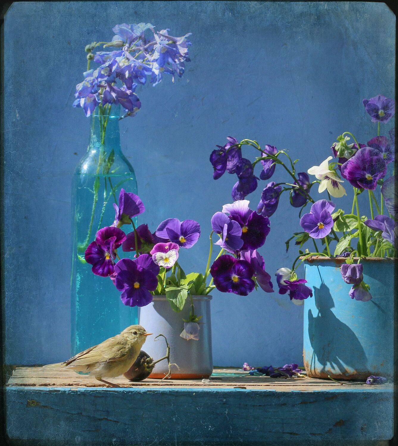 , Хромушин Олег