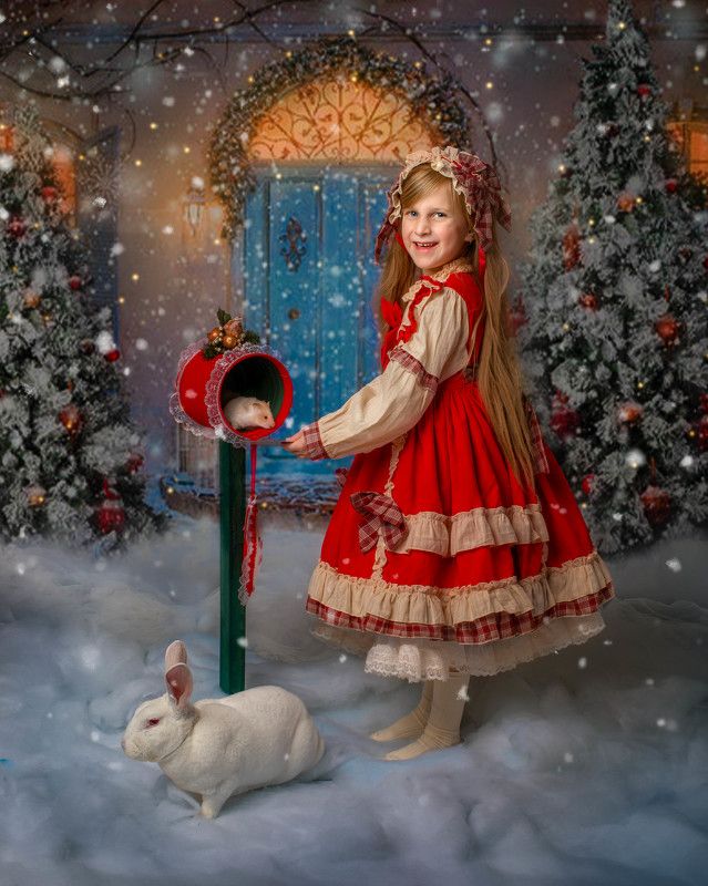 Christmas Countdown Begins фото превью