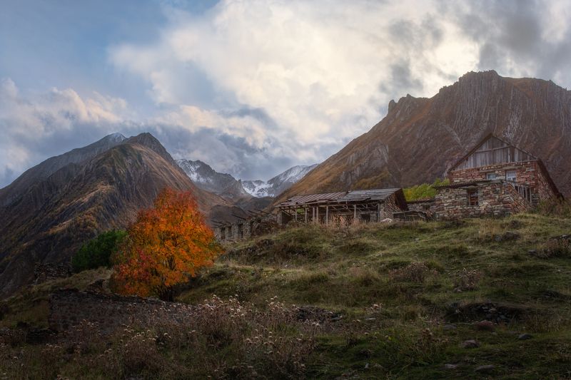landscapes, Georgia, nature, autumn Truso gorge, Georgia. фото превью