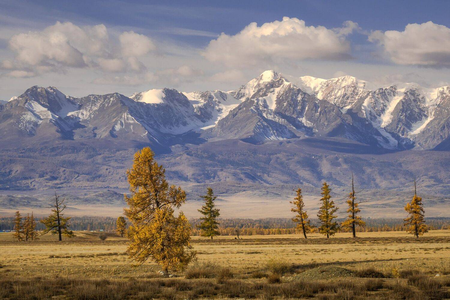 , Сергей Межин