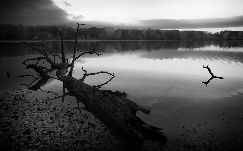 Lake фото превью