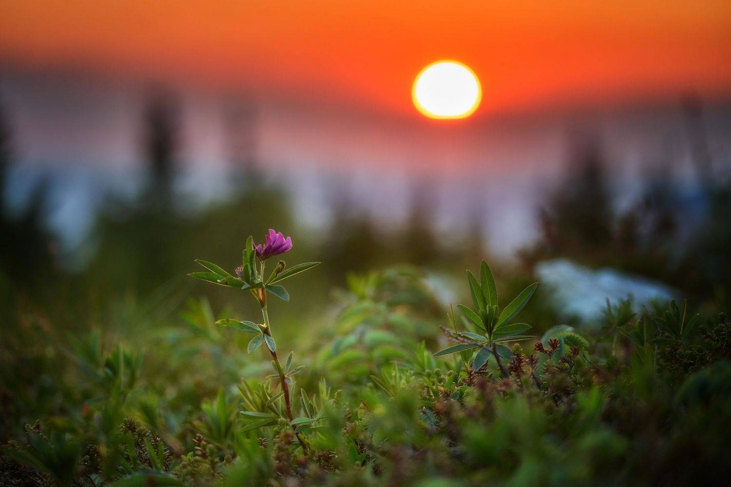 зюраткуль закат zuratkul sunset, Чевтаев Егор
