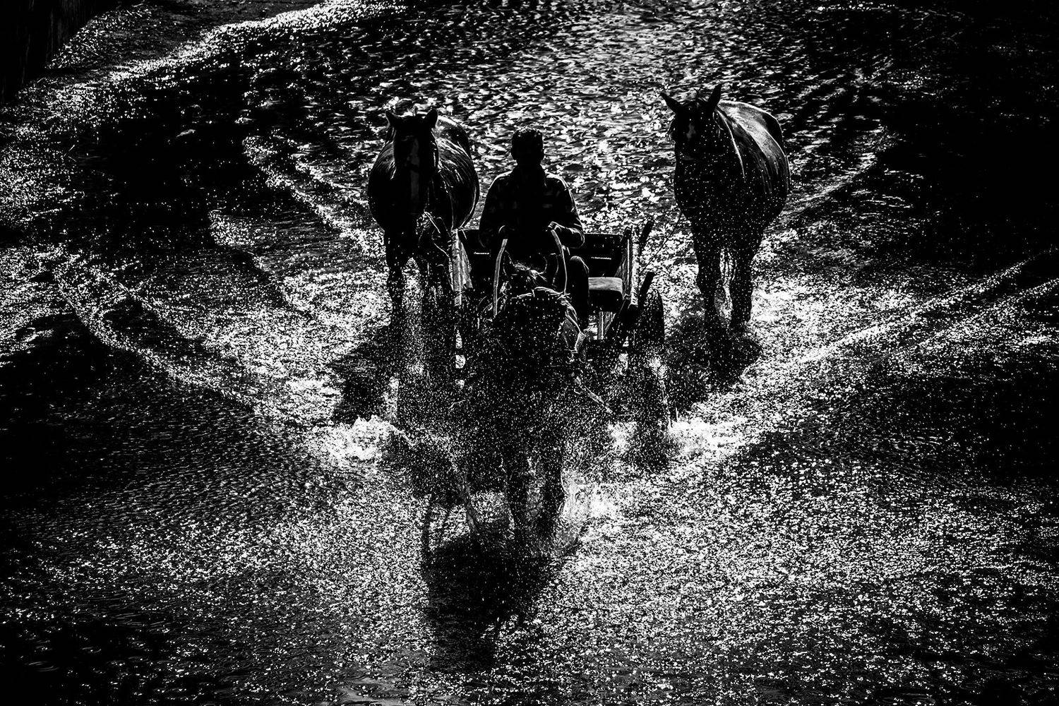 horse, Denis Buchel (Денис Бучель)