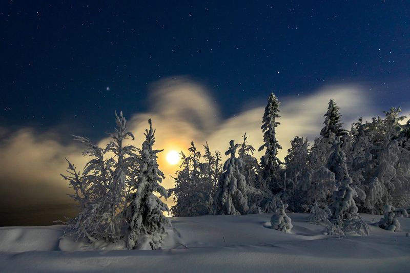Под луной фото превью