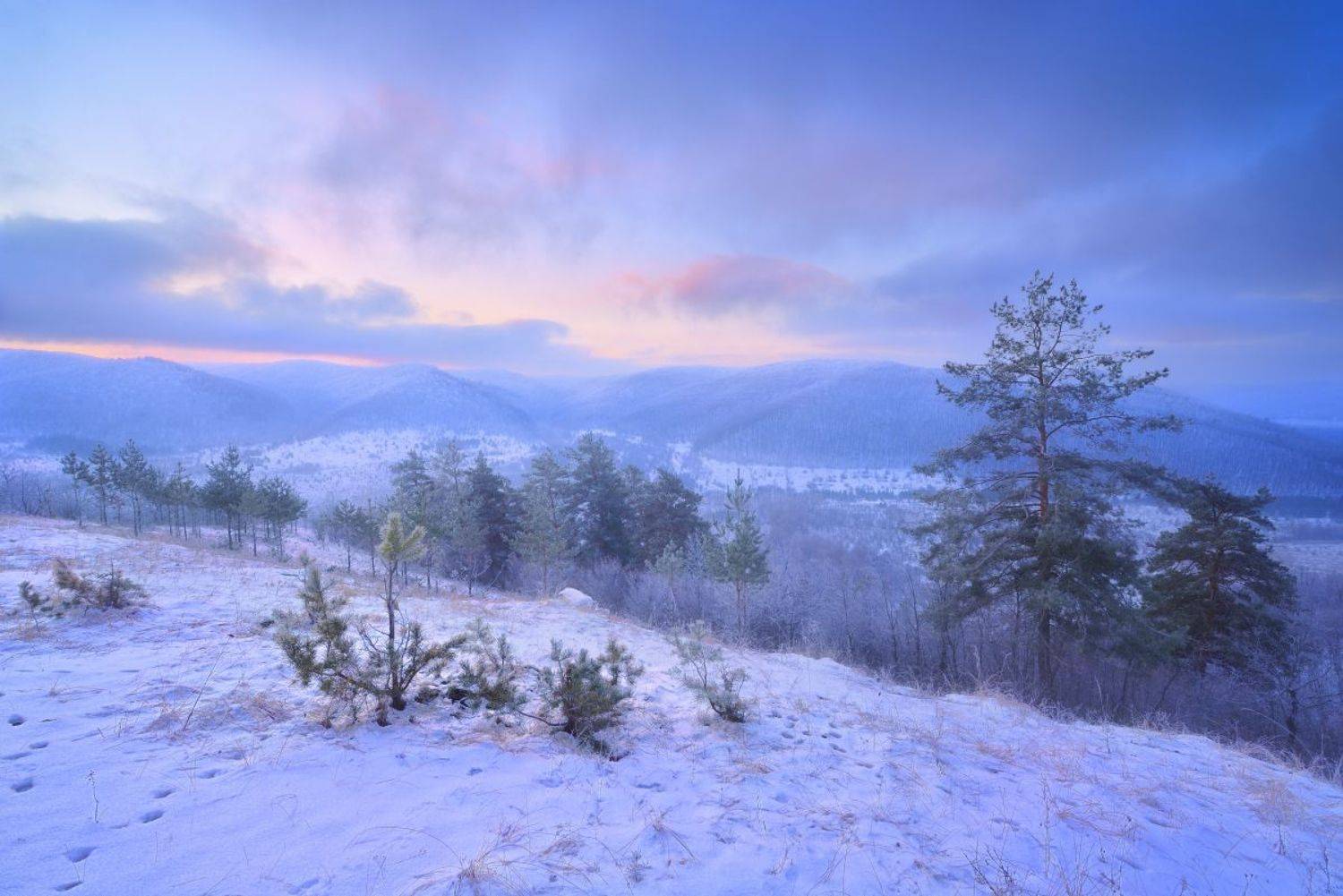 , Александр Тормосин