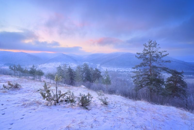 В морозной, лёгкой дымке. фото превью