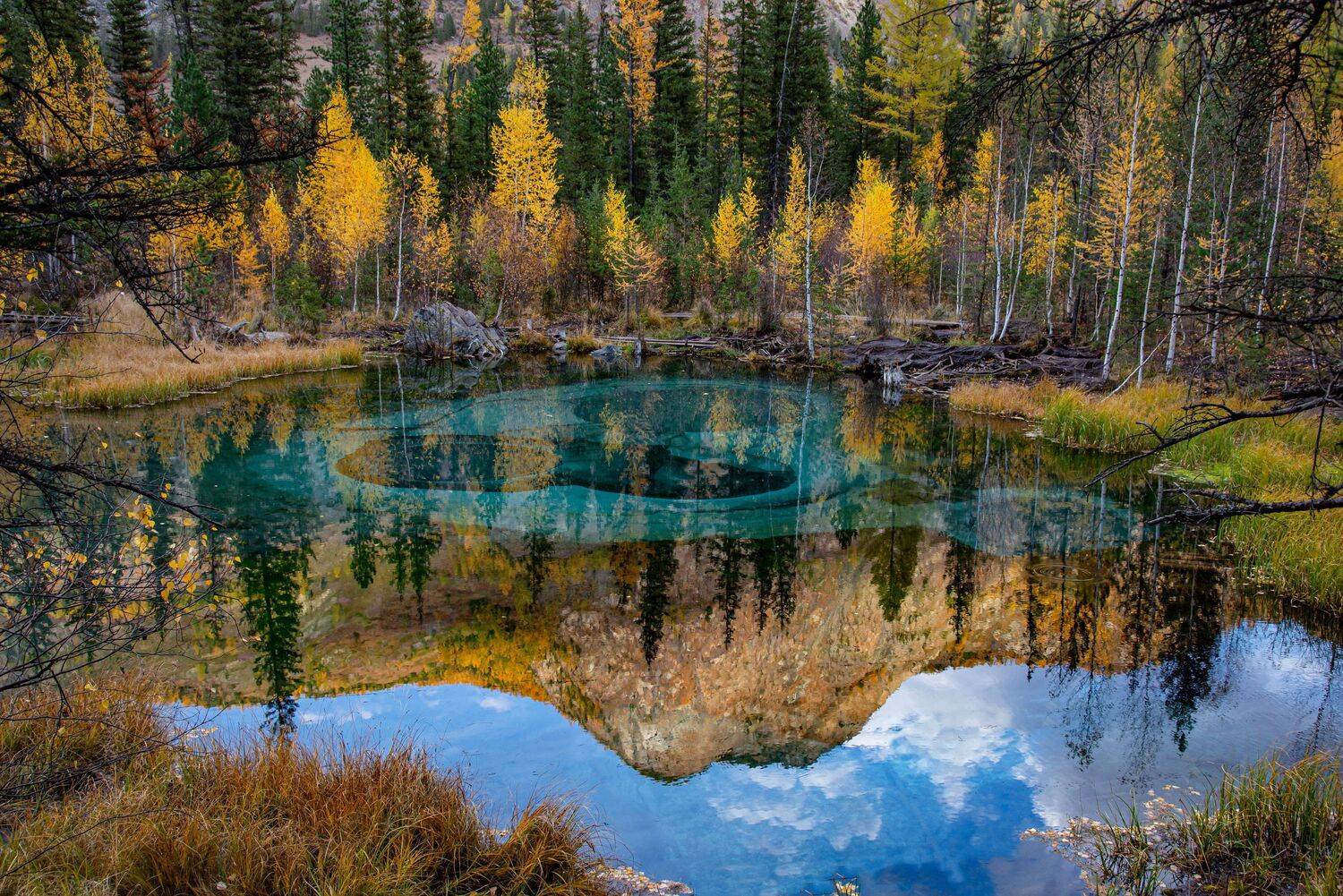 алтай. осень. горы., Евгений Дроботенко