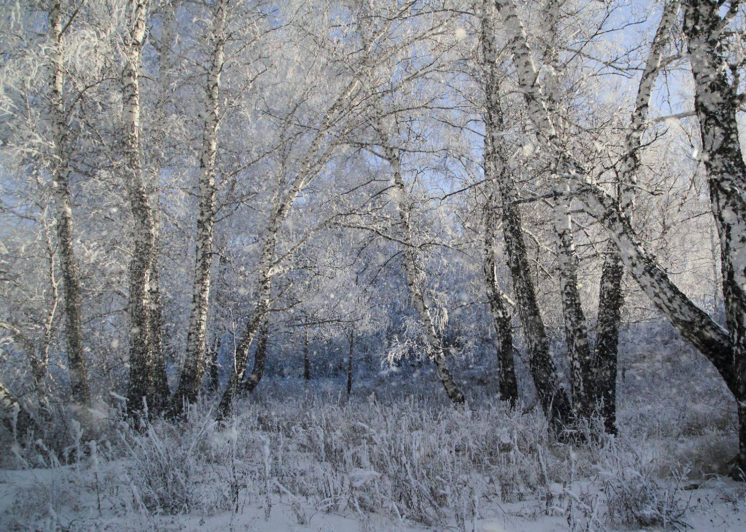 , Евгений Зинов