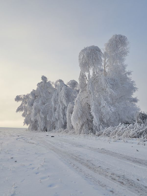 Одетые  фото превью