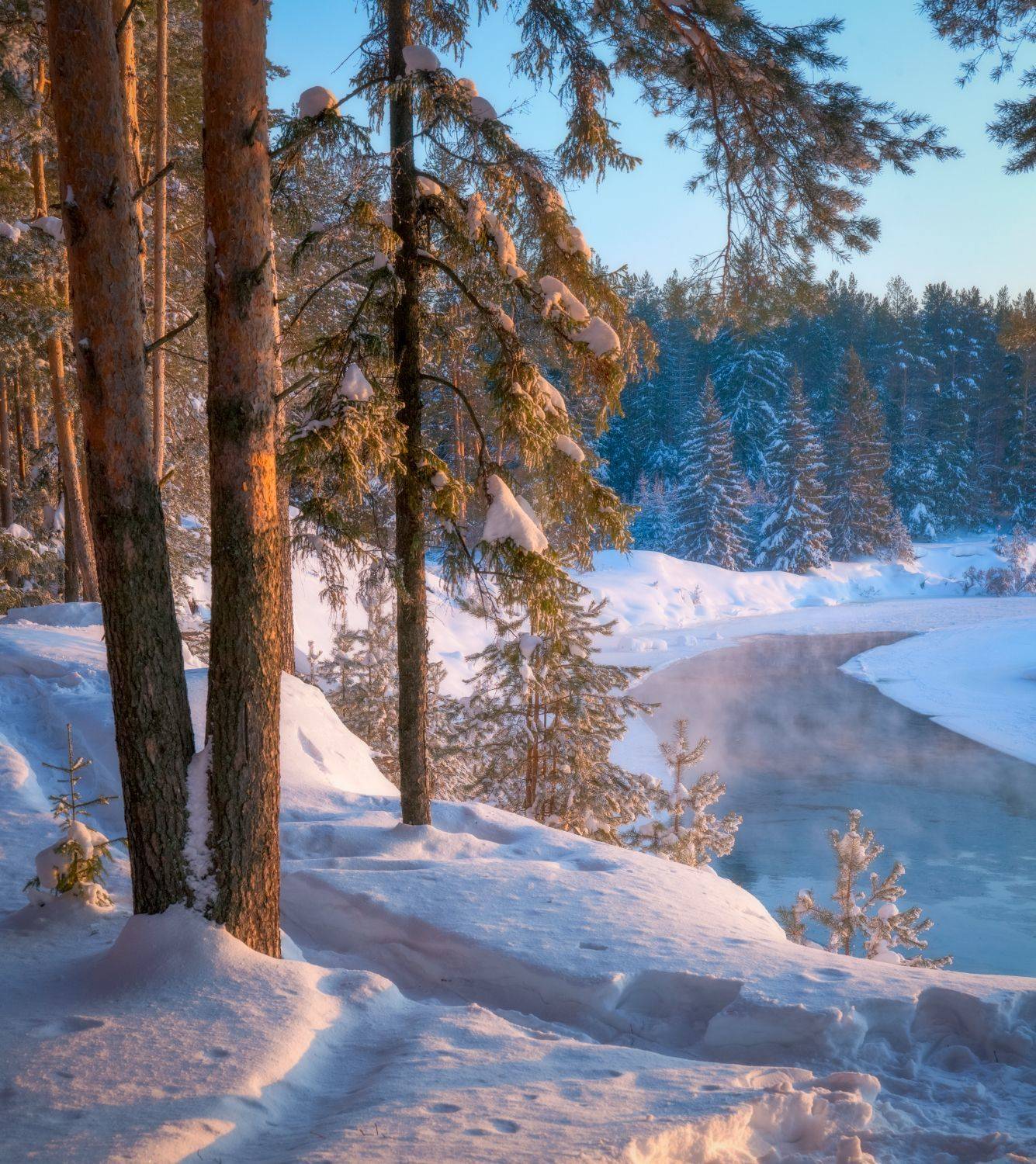 вечер зима холод мороз сосны река, Сергей Буторин