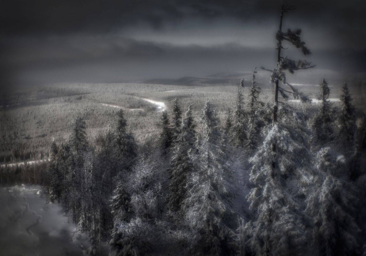 монокль, Александр  Швачко