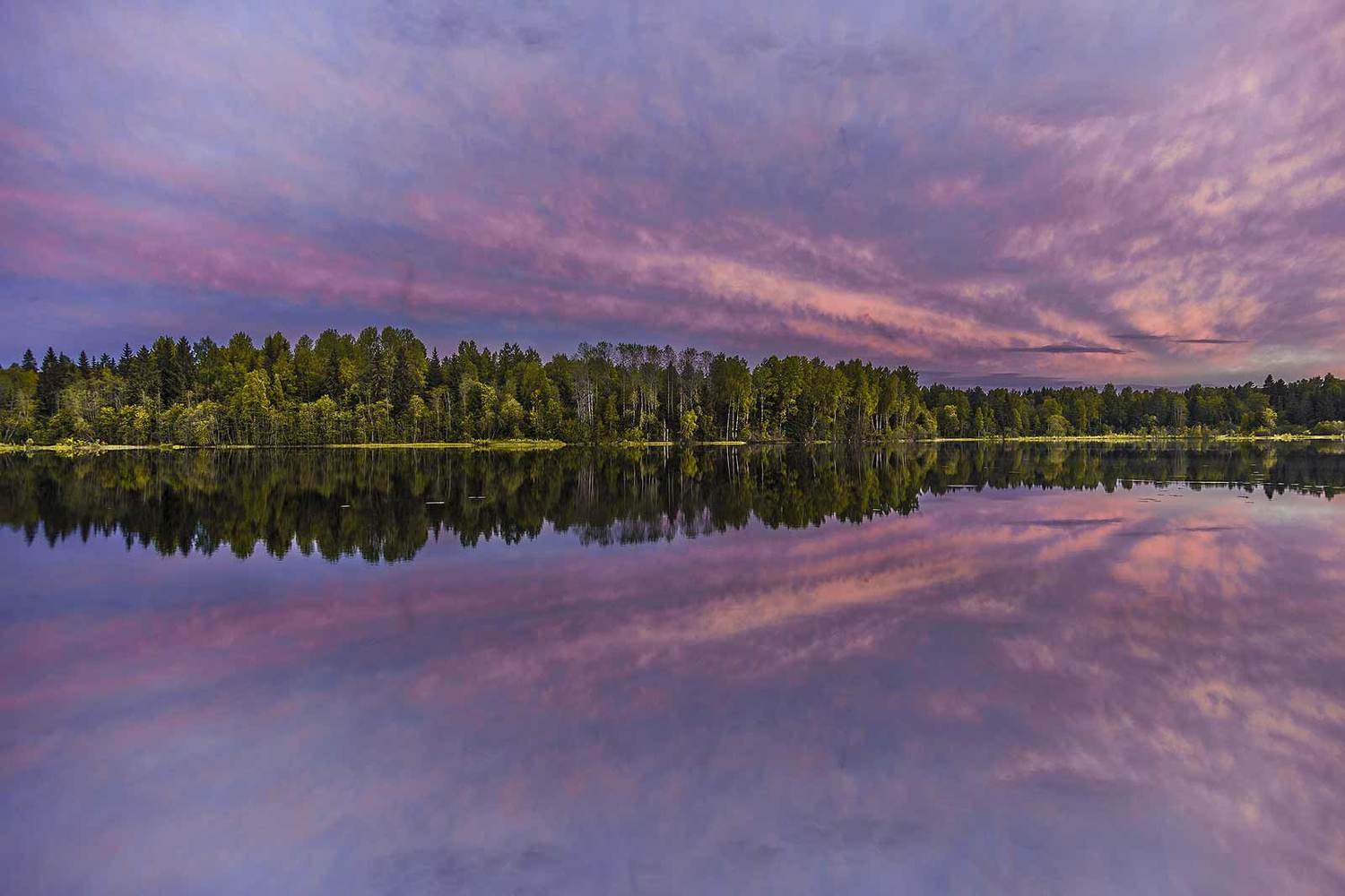 , Напалкин Станислав