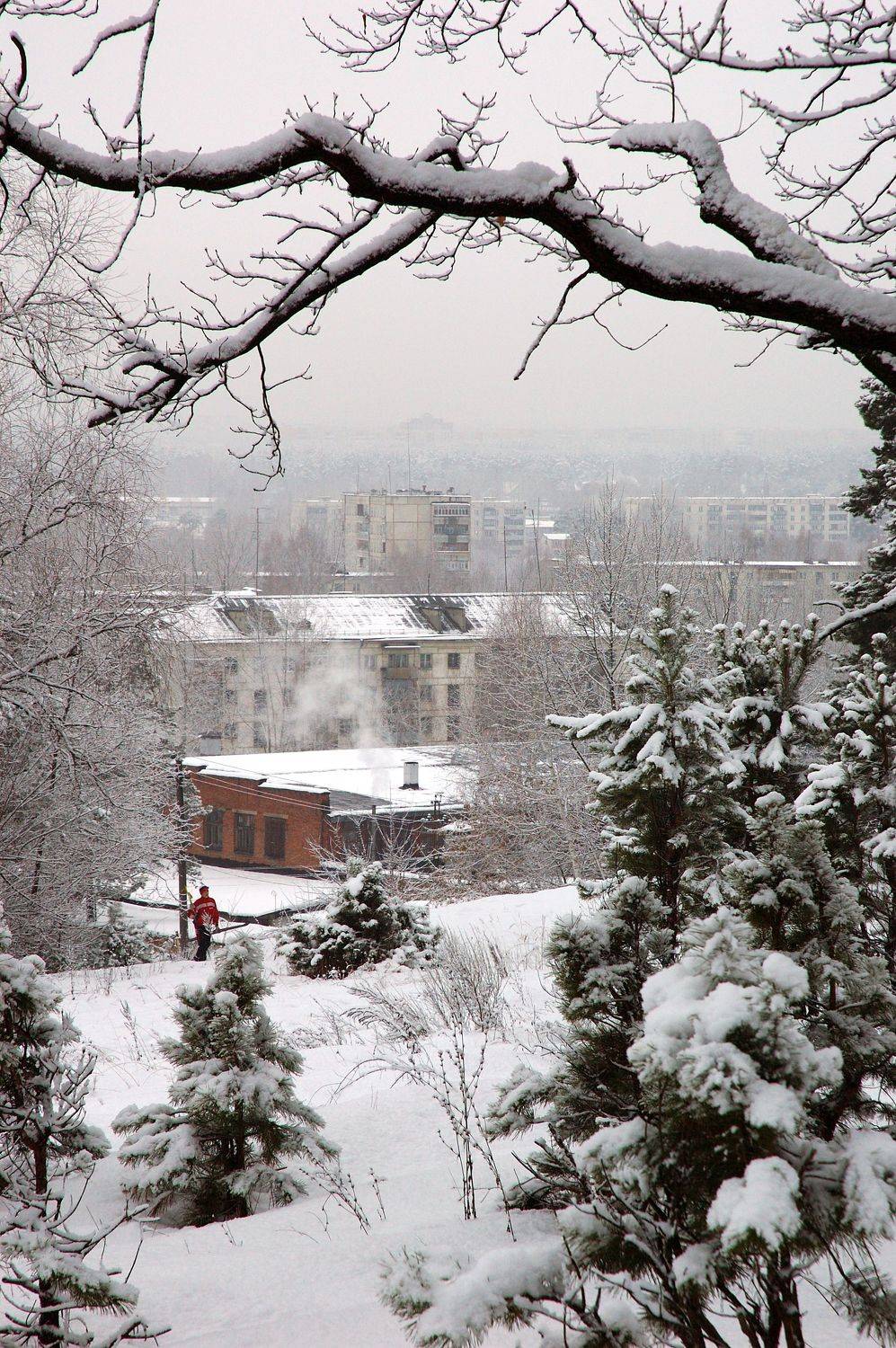 , Владимир Краснов