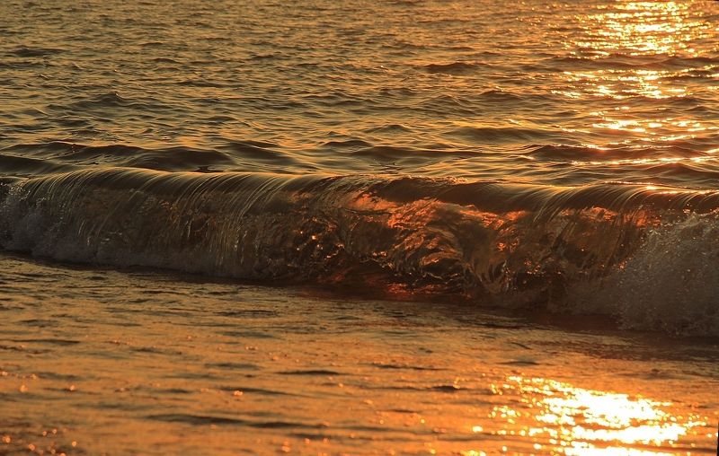 Надо жить у моря, мама.. фото превью