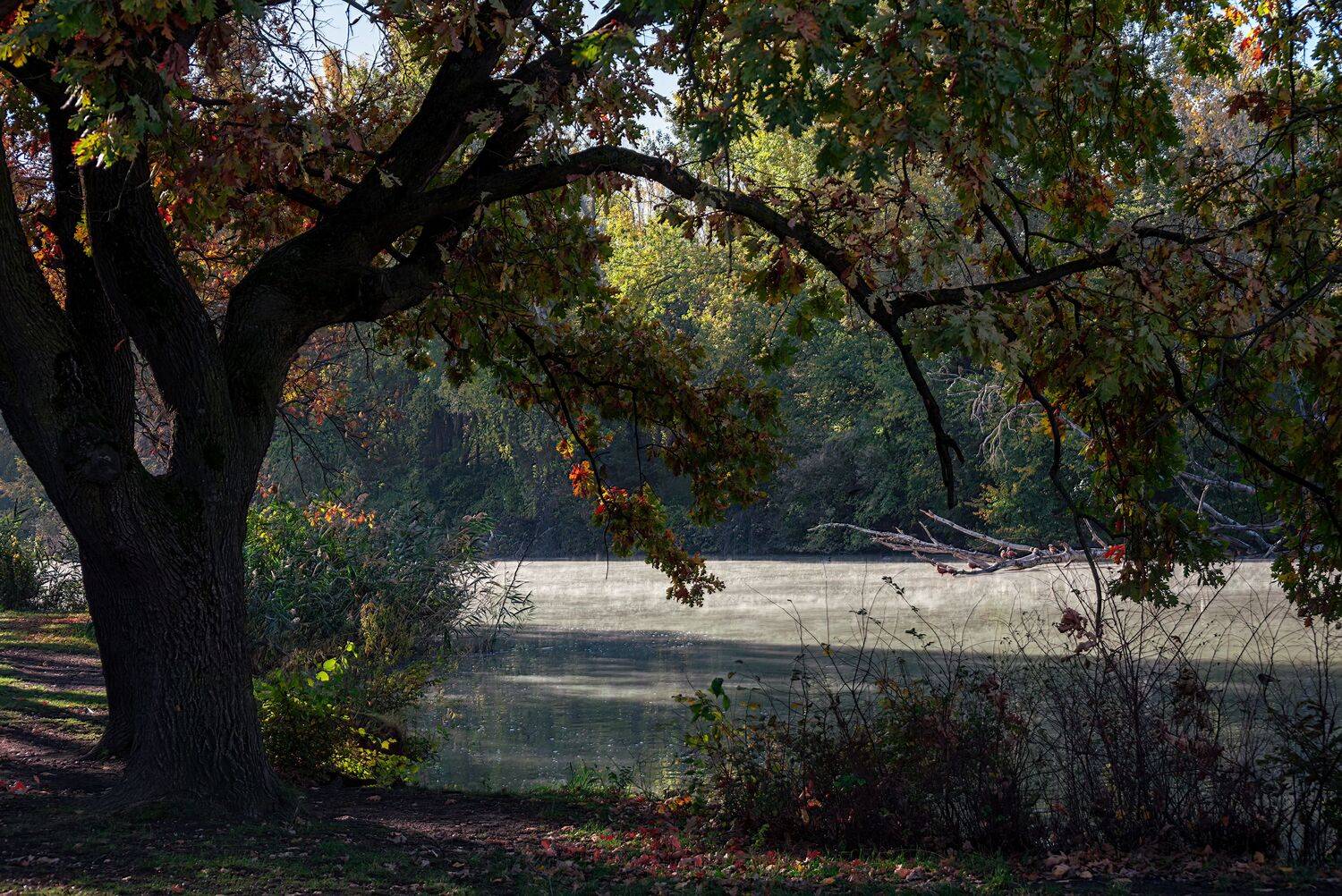 осень, Алексей Рыльский