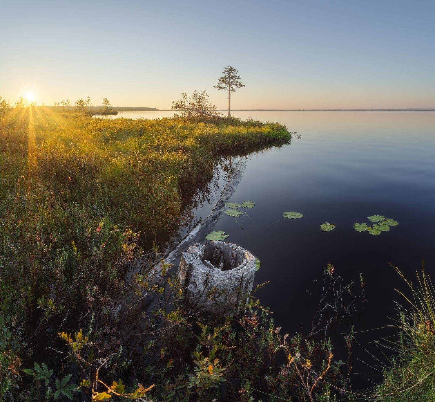 пейзаж, осень, север, landscape, autumn, lake, north, коми, закат, озеро, болото, сосна, pine, swamp, sunset, water, Чаланов Иван
