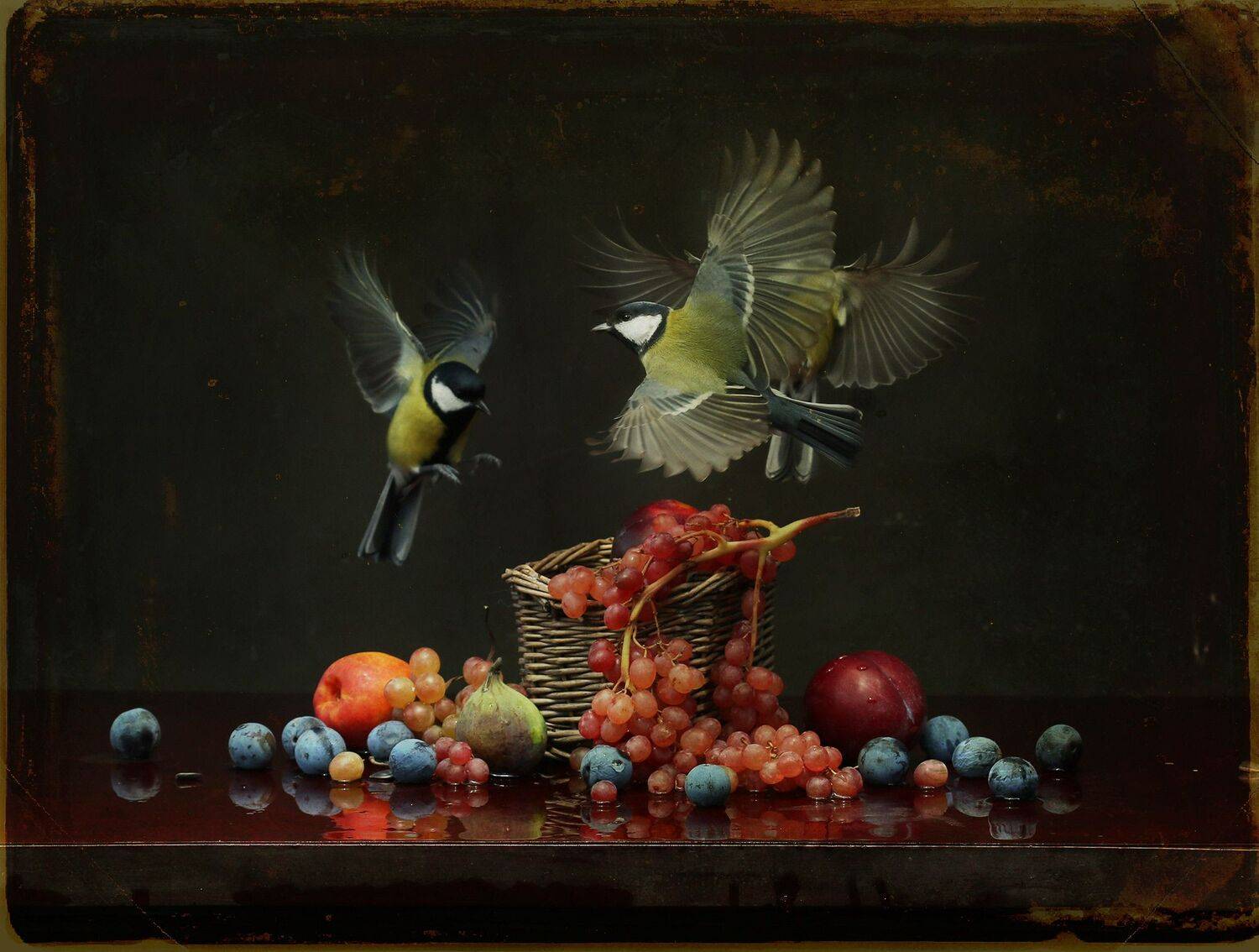 parus major, Хромушин Олег