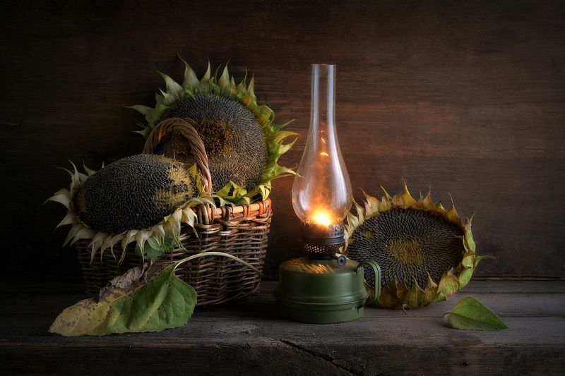 Подсолнечное затмение фото превью
