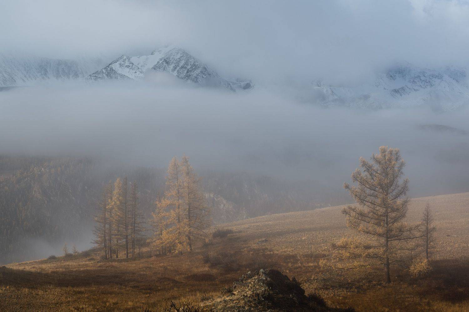 , Константин Калинин