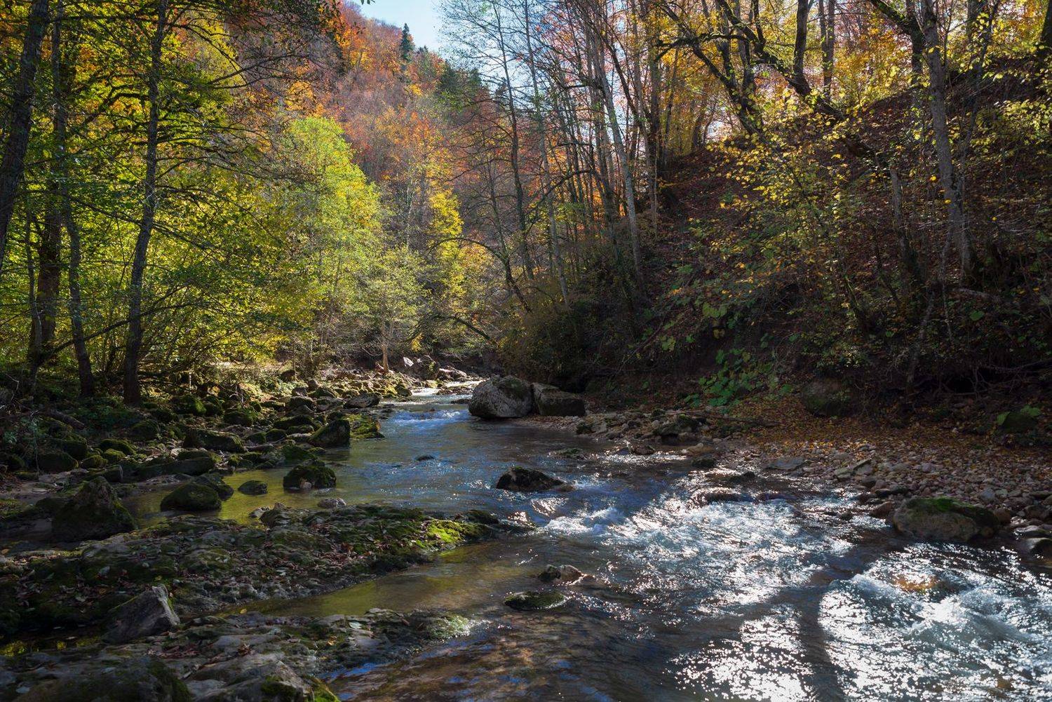 , Сергей Тихомиров