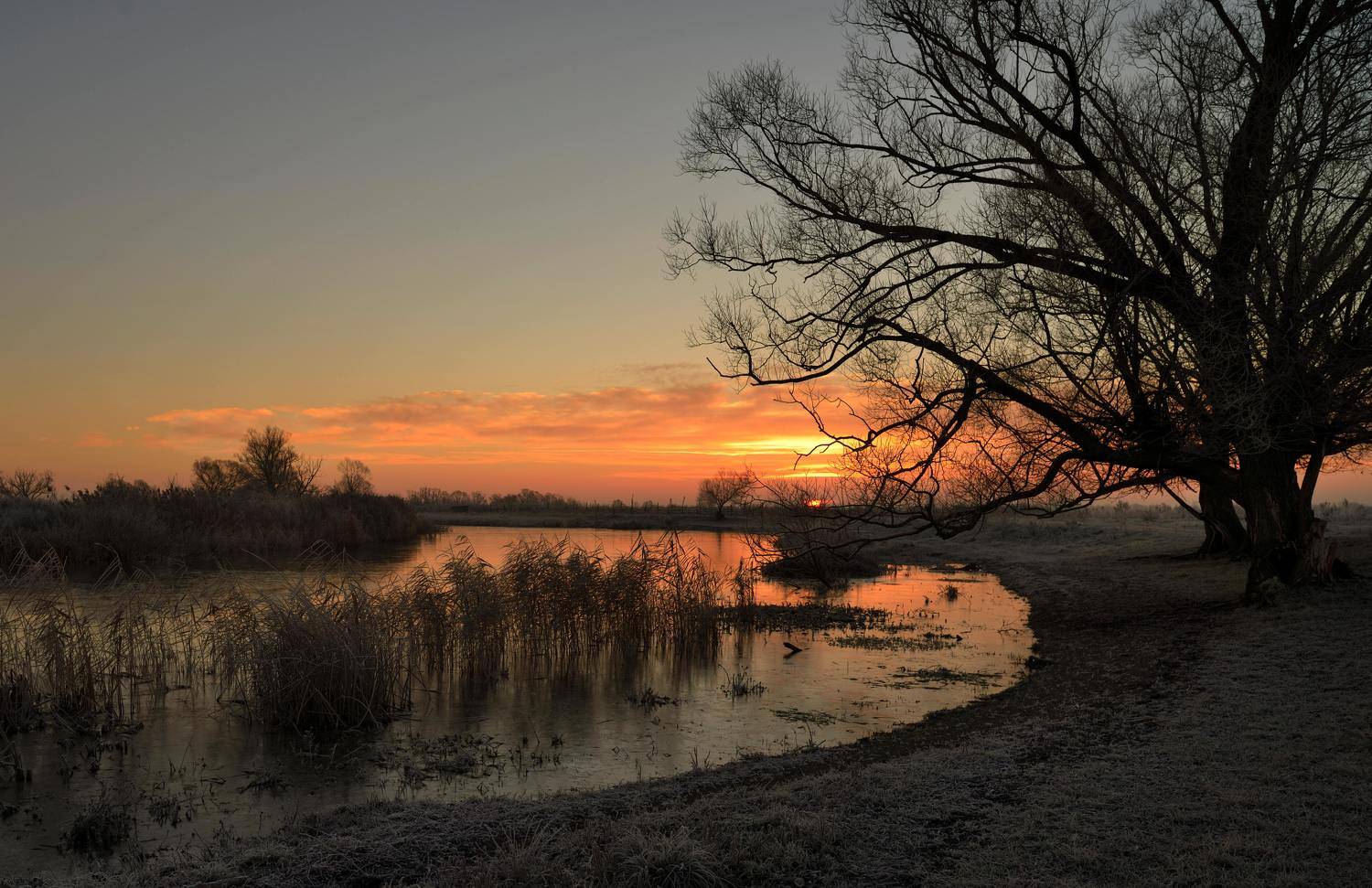 , Андрей Балабин