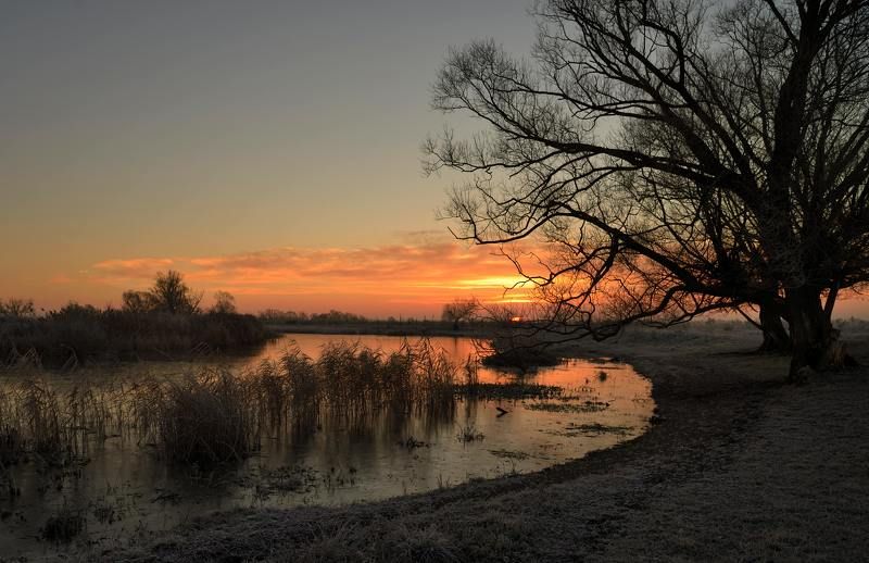 Первый ледок... фото превью