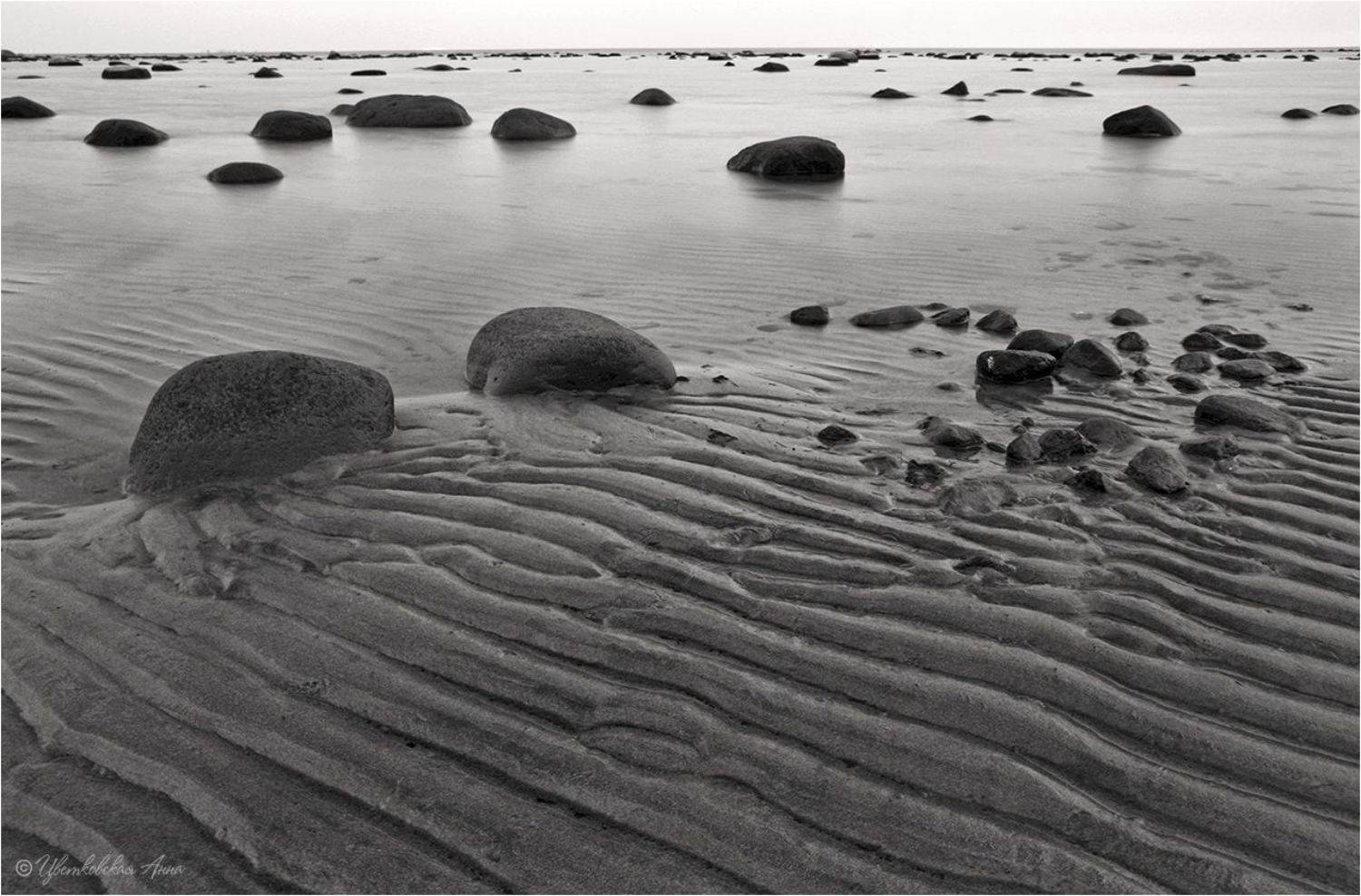 , Анна Цветковская