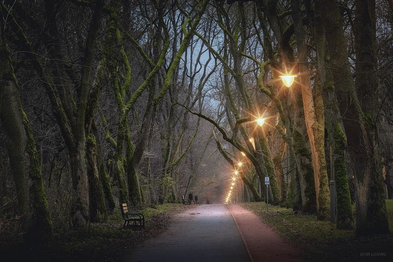 Вечер в парке фото превью