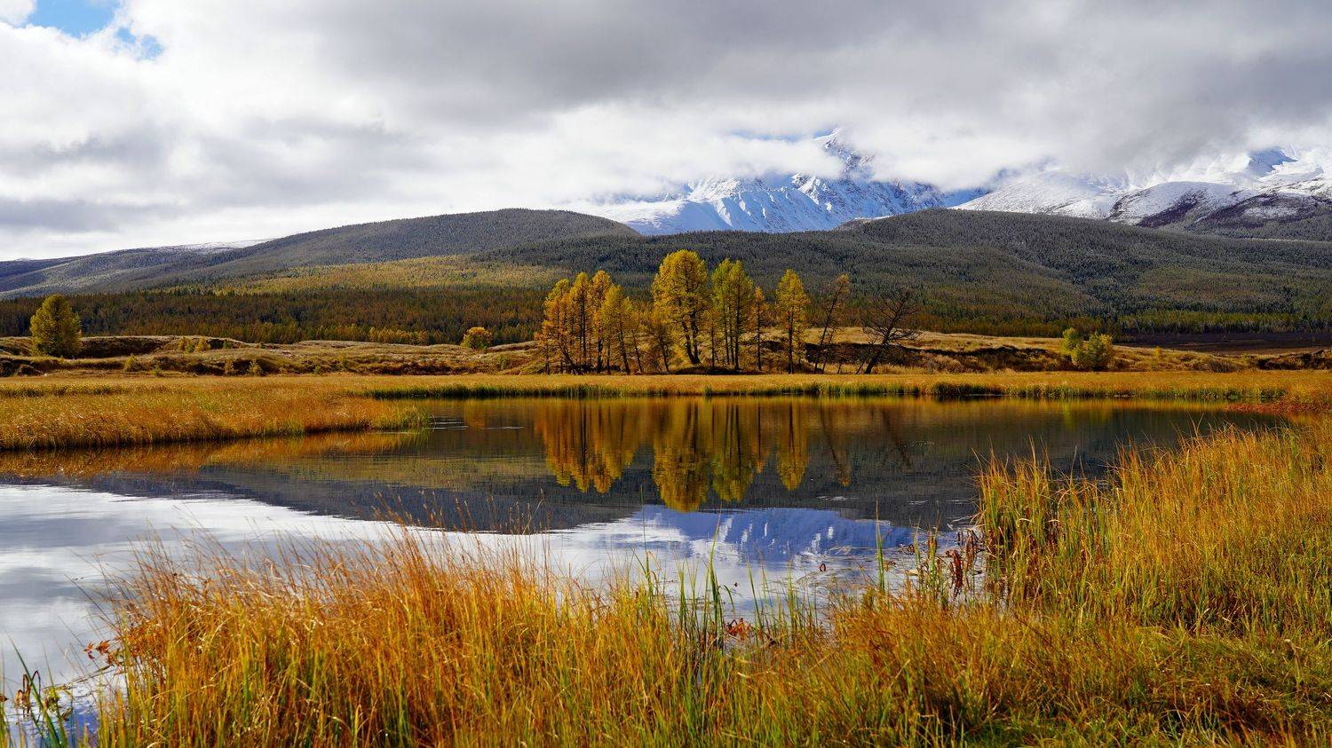 джангысколь, озеро, отражение, горы, облака, желтые лиственницы, золото, осень, ёштыкель, алтай, россия, Andrey Politov