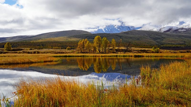 джангысколь, озеро, отражение, горы, облака, желтые лиственницы, золото, осень, ёштыкель, алтай, россия Джангысколь почти классический фото превью