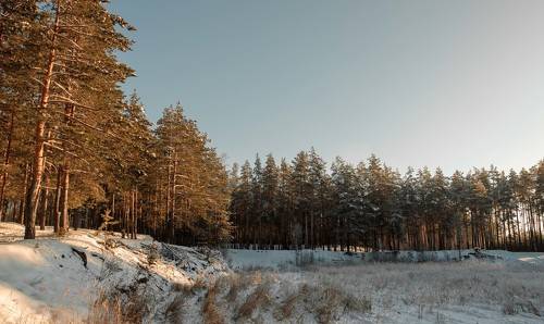 Зима пришла...