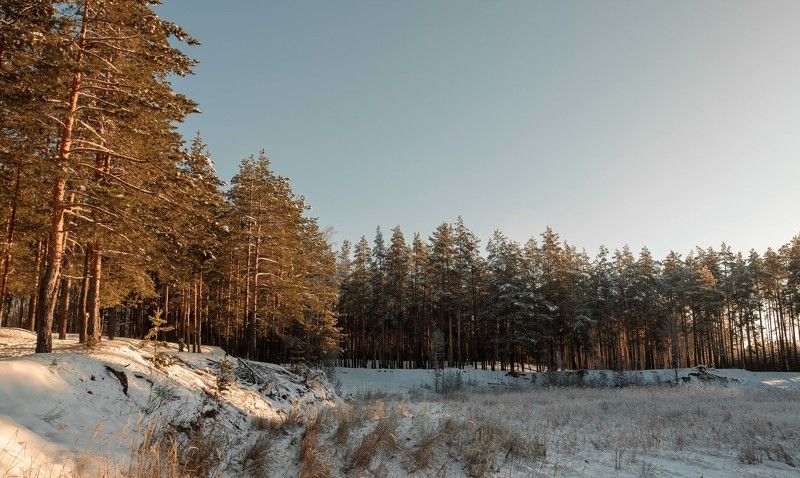 Зима пришла... фото превью