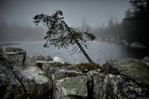 В сердце Ветер-Горы