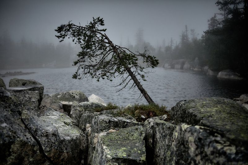 карелия, туман, природа, горы, озеро, север В сердце Ветер-Горы фото превью