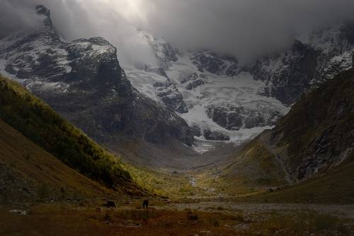 Хмурое утро