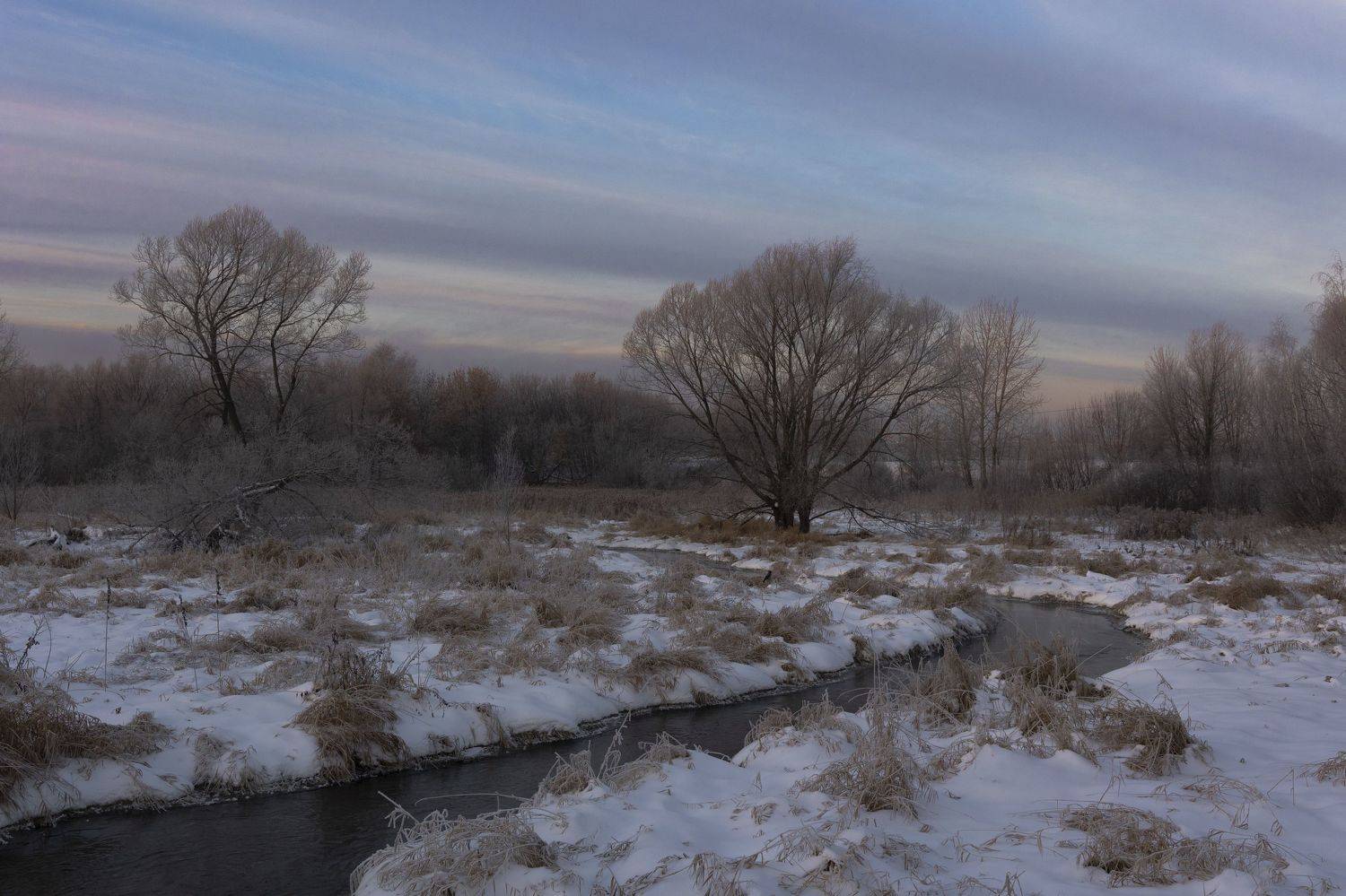 Яуза, Тайнинское, рассвет, Илья Пономарев