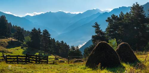 Запах скошенного луга