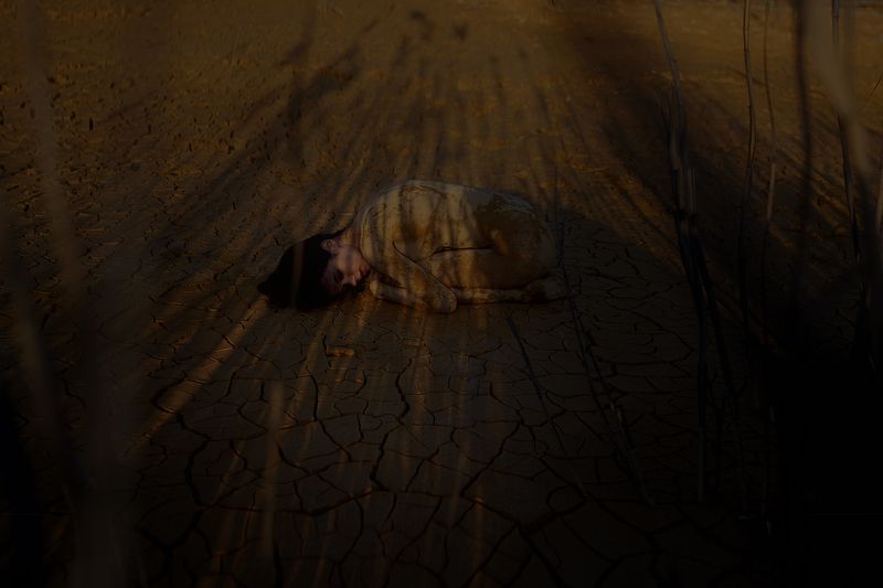 nude art girl Integration фото превью