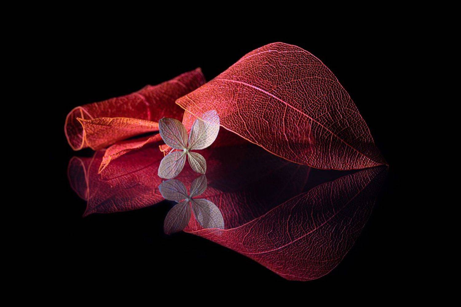 , Игорь Копцев