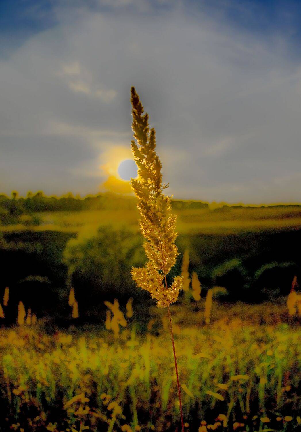 вечер пейзаж путешествия, Александр Березуцкий