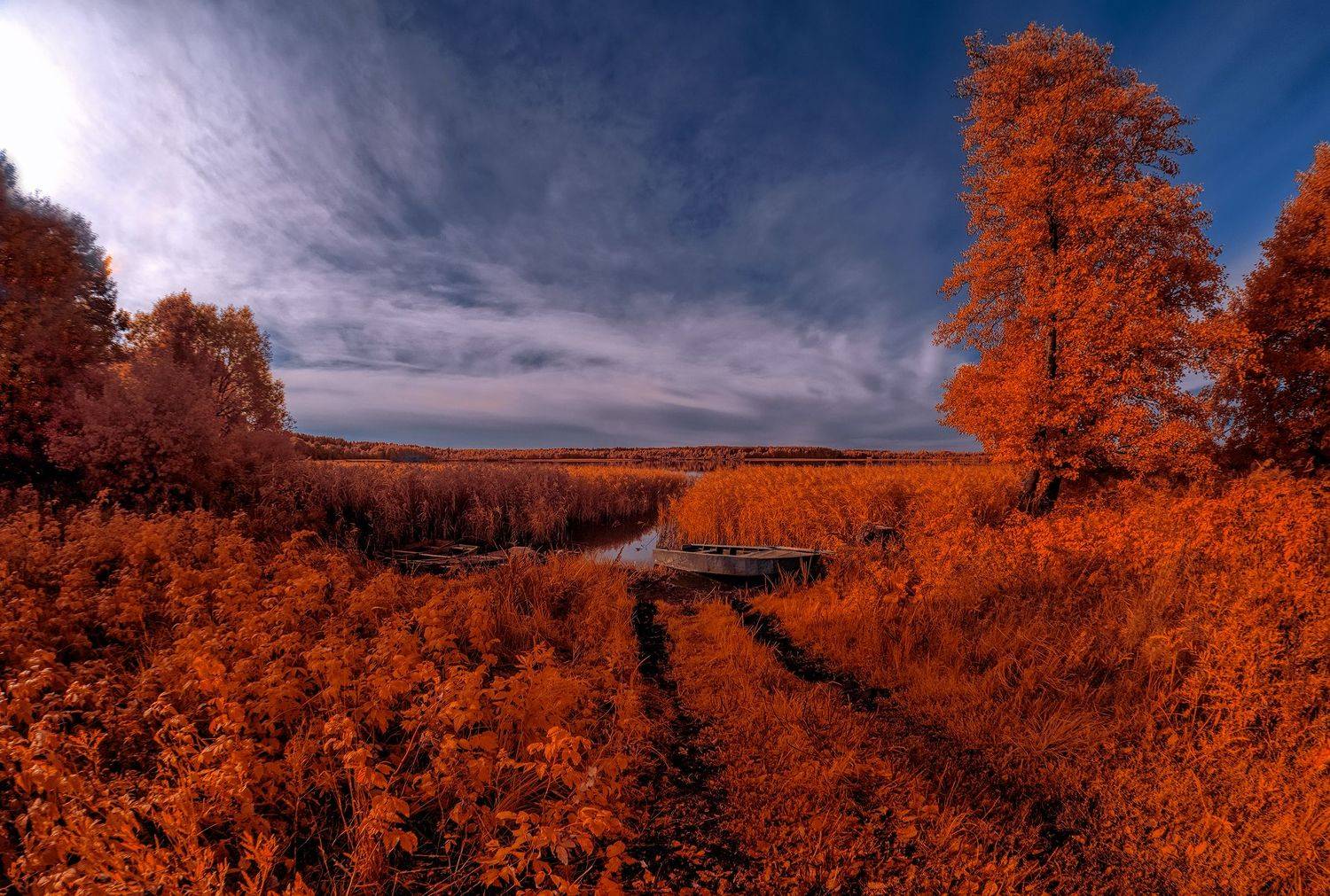 infrared,ик-фото,инфракрасное фото, инфракрасная фотография, пейзаж, осень,  Sixten (Сергей)