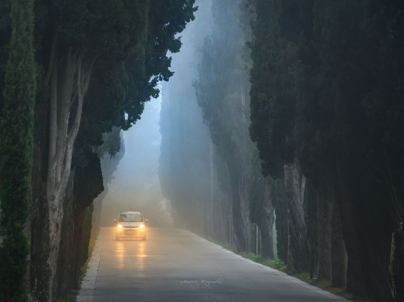 Aleja cyprysów w Montepulciano фото превью