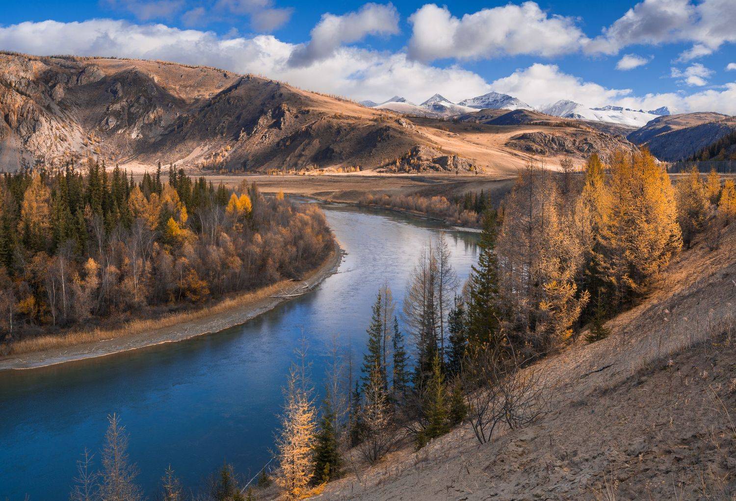 россия, горный алтай, река чуя, осень, Андрей Поляков