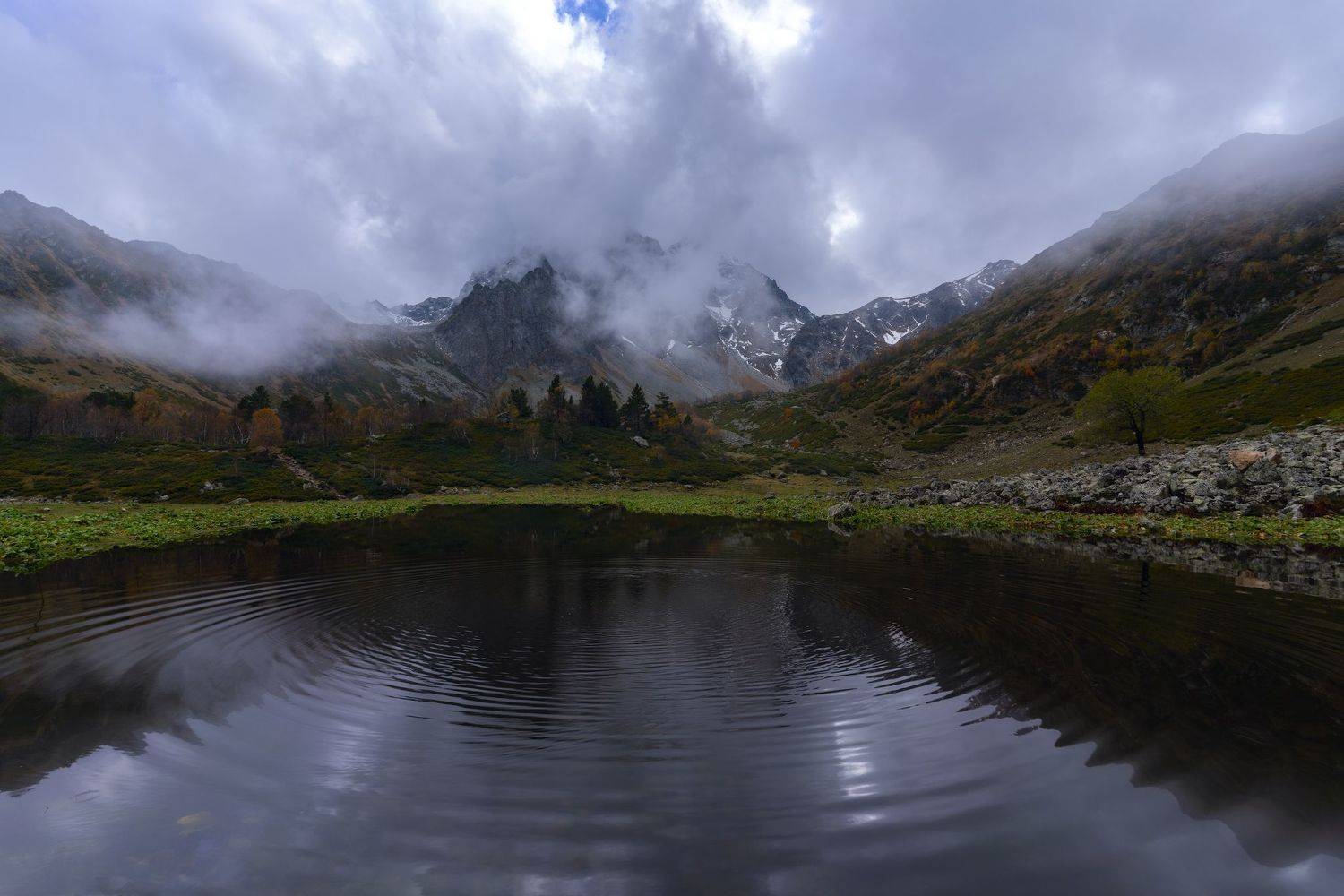 , Юлия Мальцева