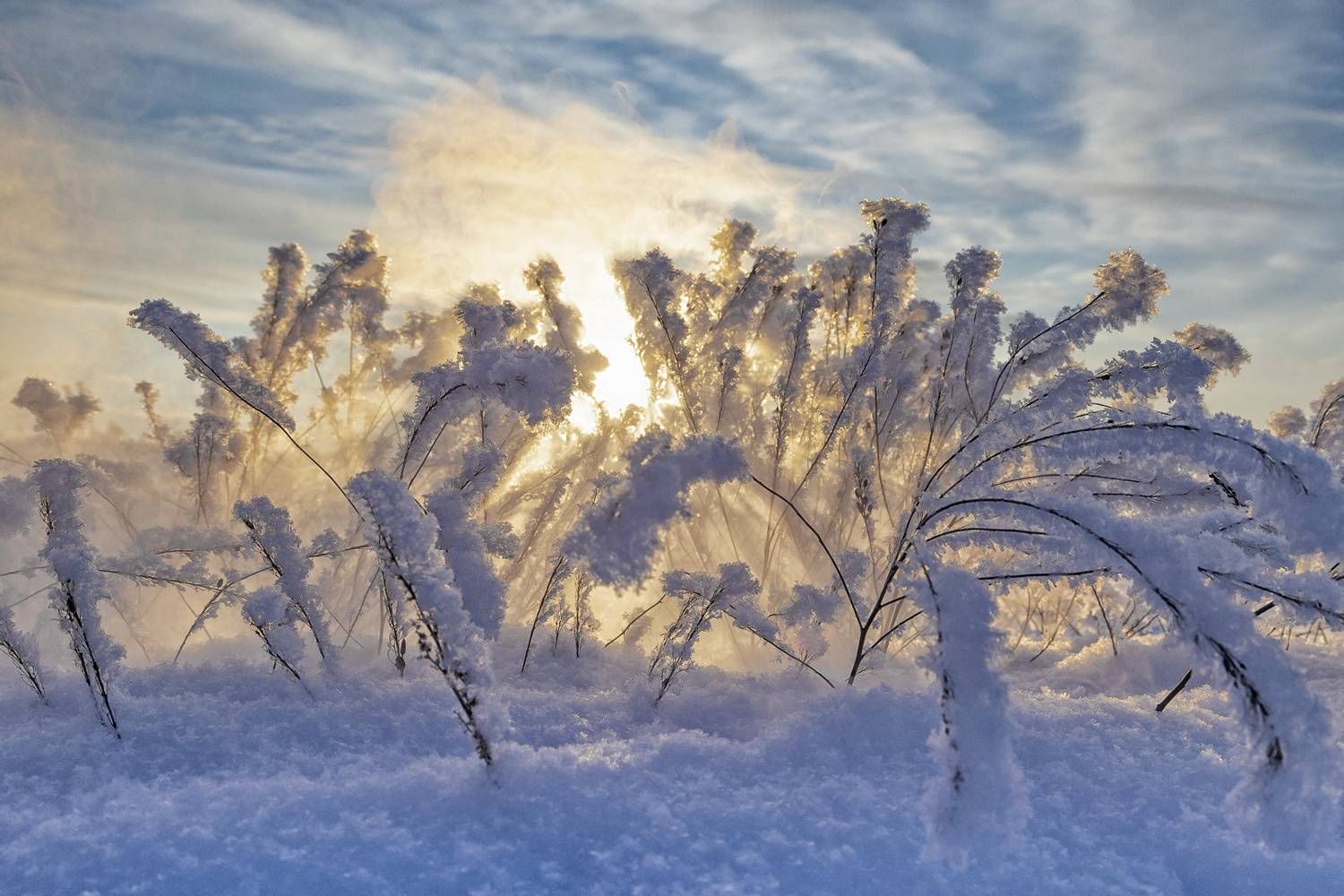 , Максим Подосинников