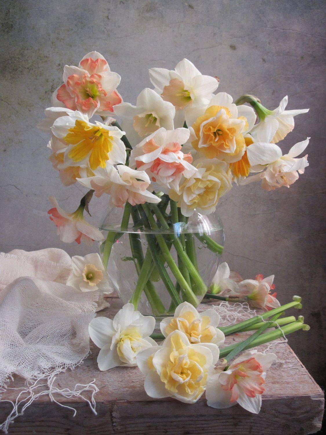 цветы, букет, нарциссы, кувшин, шарф, Наталия Тихомирова