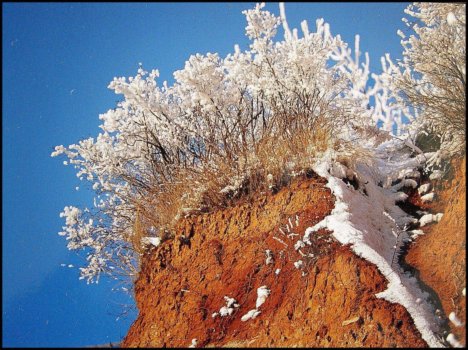 , Меднов Влад