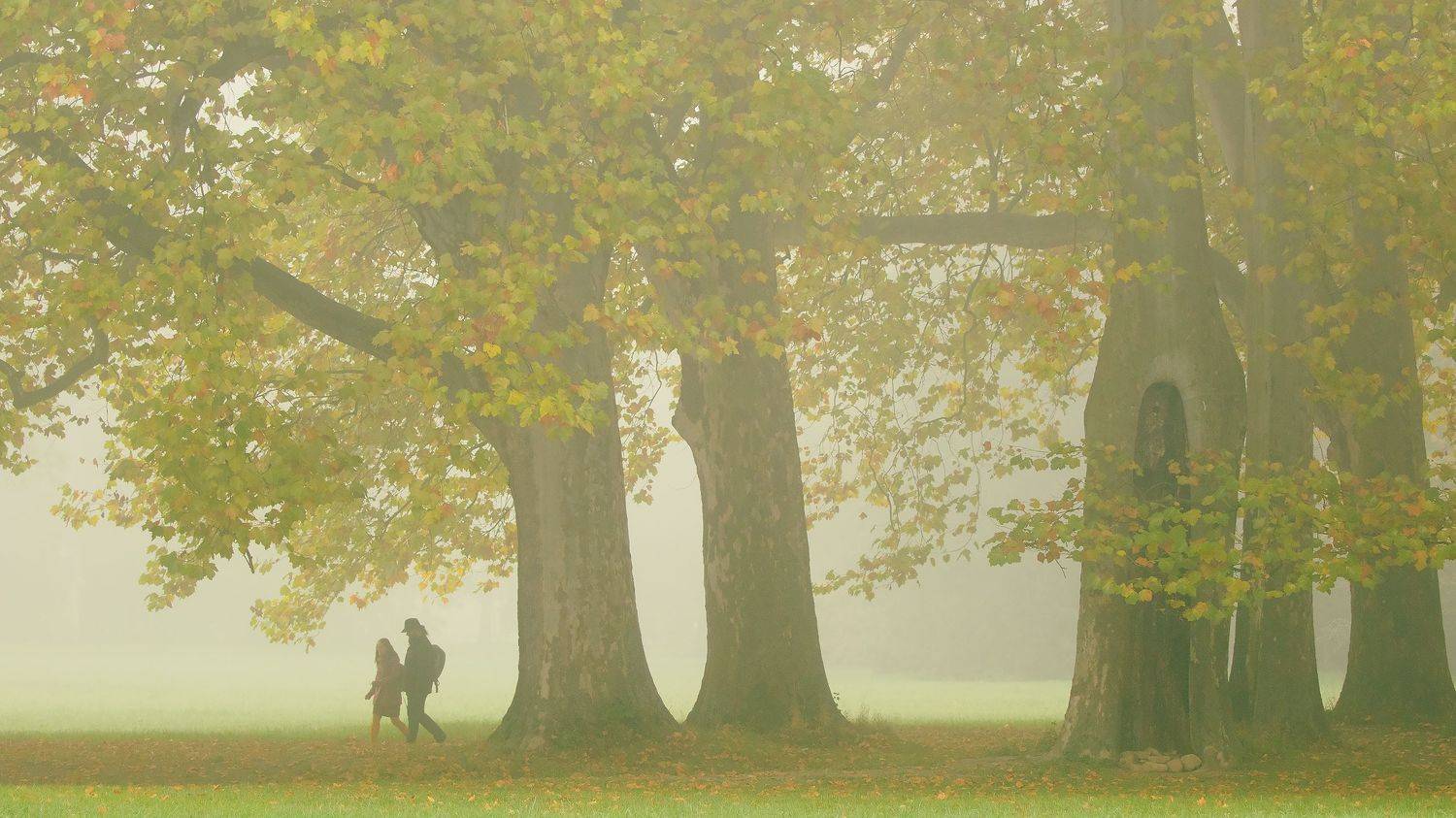, Robert Adamec